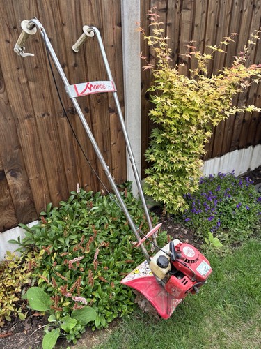 Mantis tiller two stroke - two,