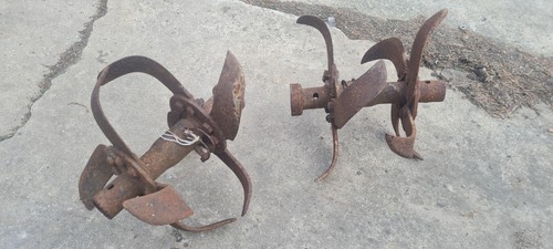 Wolseley merry tiller - ,